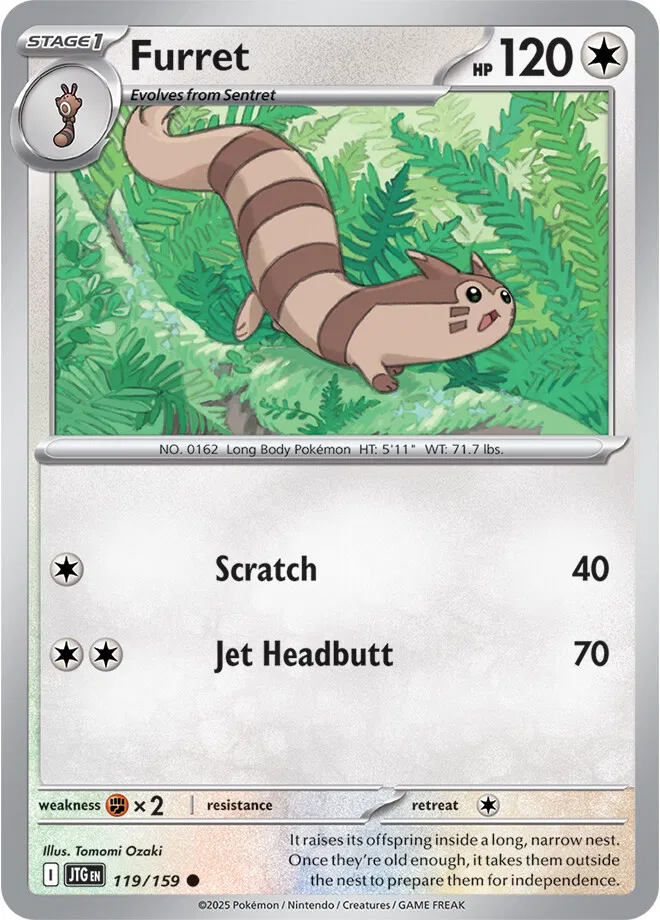 Furret - Tomomi Ozaki