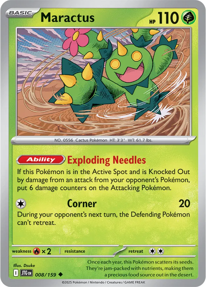 Maractus