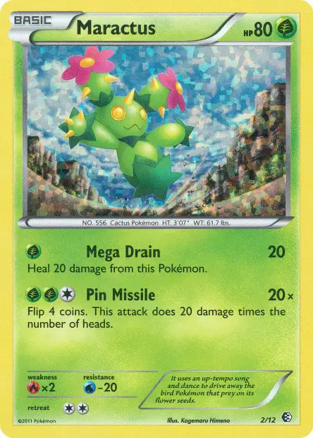 Maractus