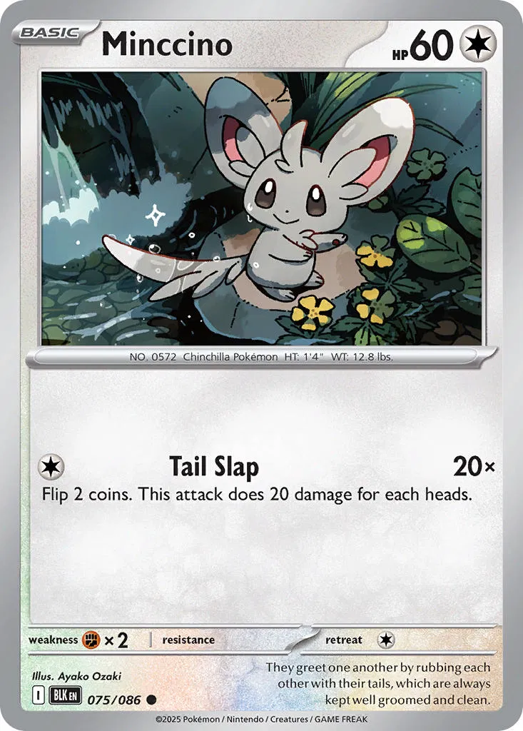 Minccino - Ayako Ozaki