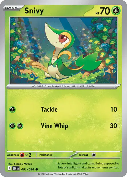 Snivy - Susumu Maeya