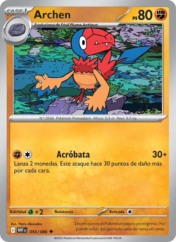 Archen