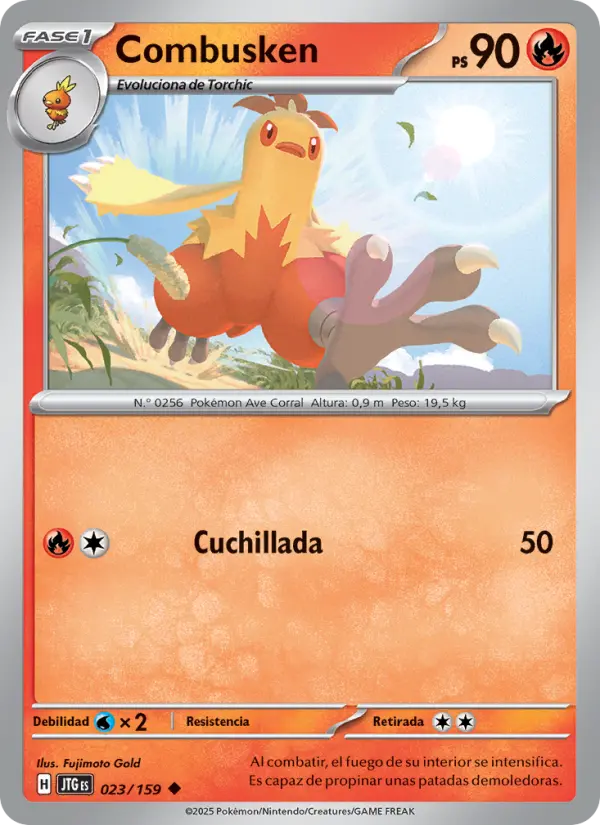 Combusken - Fujimoto Gold