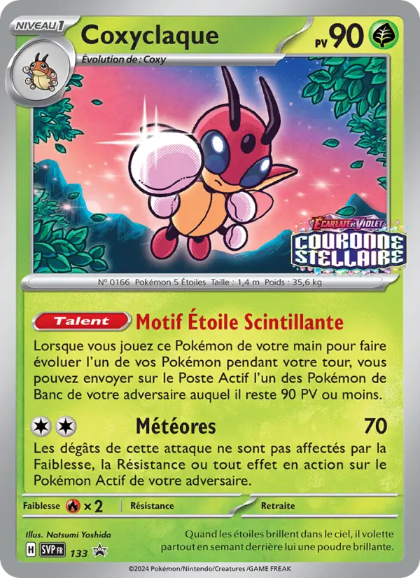 Coxyclaque - Natsumi Yoshida