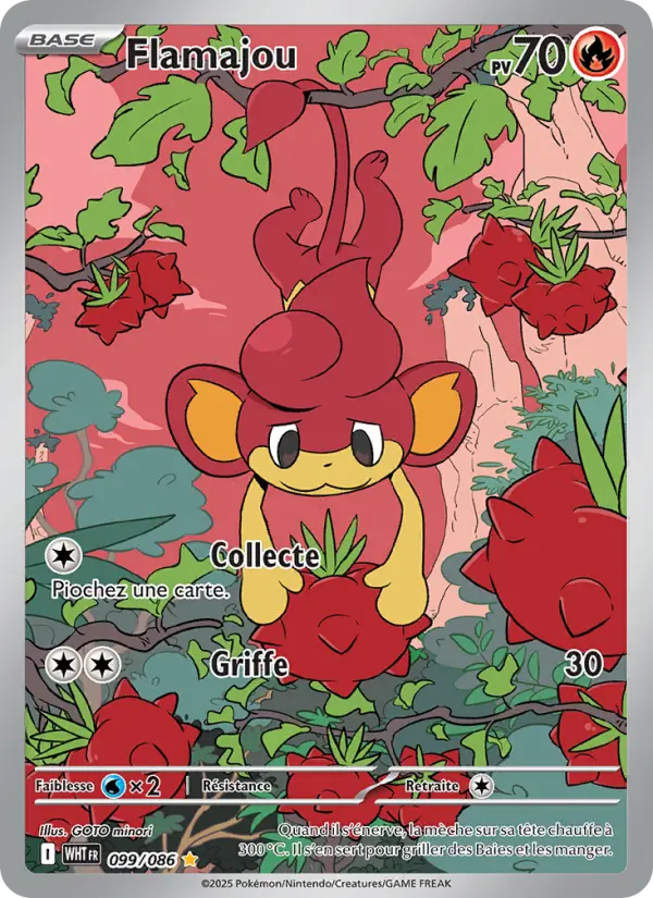 Flamajou - GOTO minori