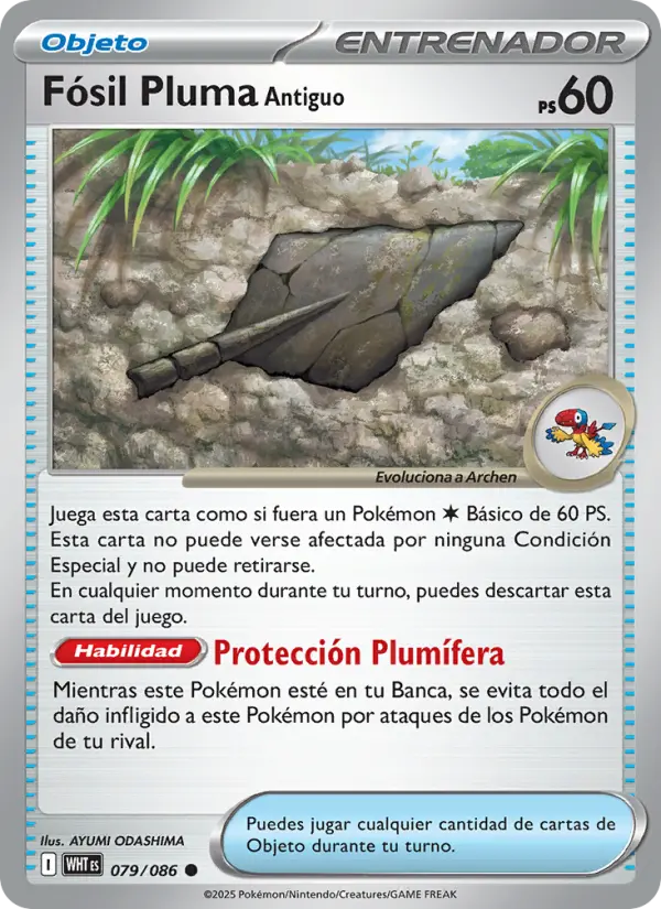 Fósil Pluma Antiguo - AYUMI ODASHIMA