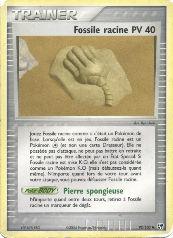 Fossile racine