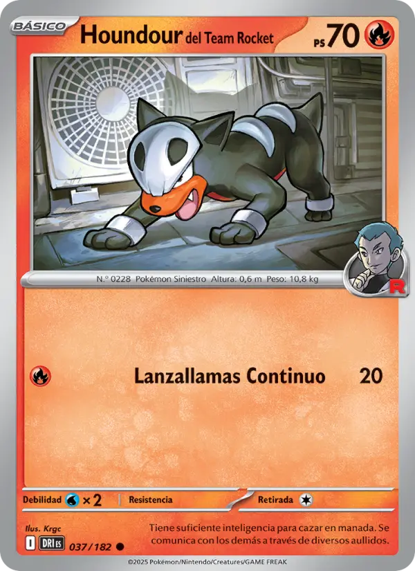 Houndour del Team Rocket