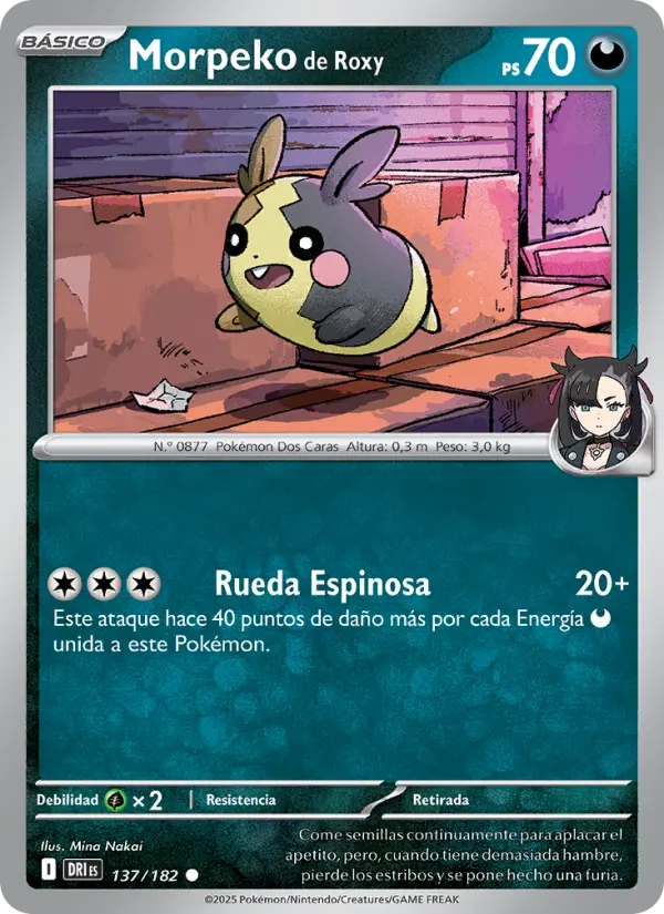 Morpeko de Roxy