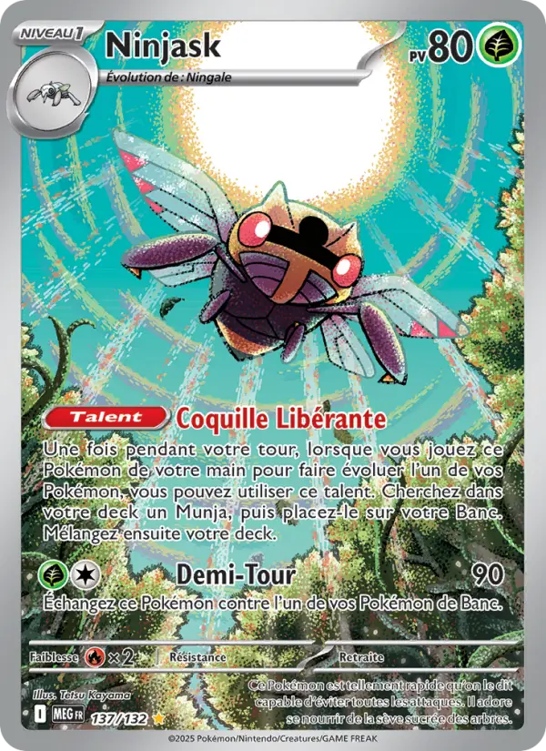 Ninjask
