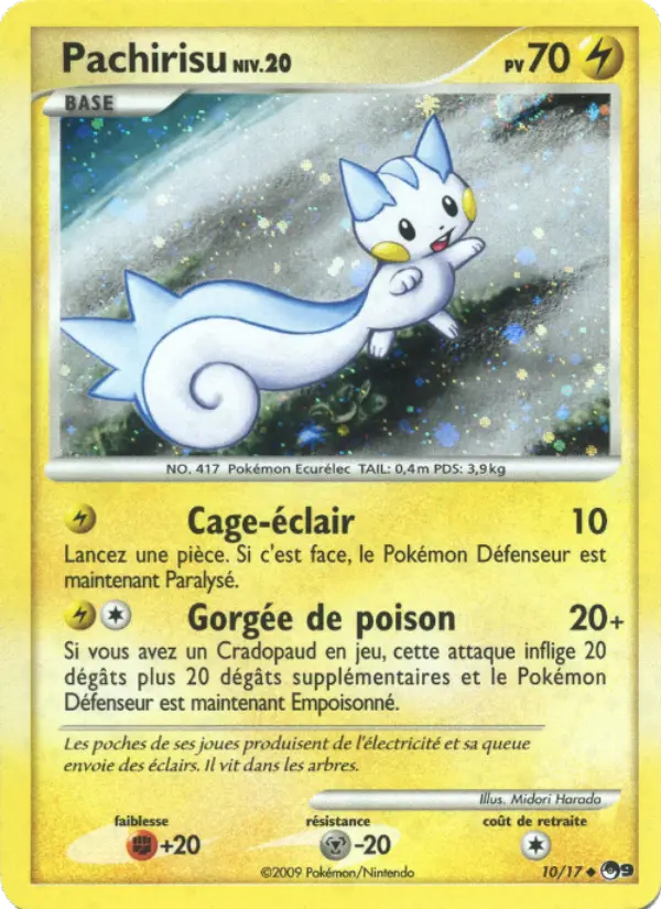 Pachirisu - Midori Harada