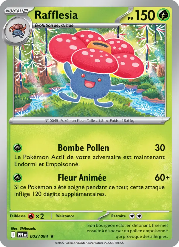 Rafflesia