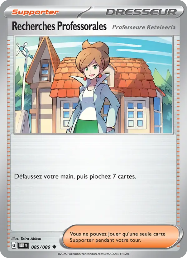 Recherches Professorales - Taira Akitsu