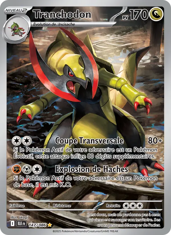 Tranchodon