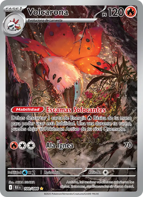 Volcarona - AKIRA EGAWA