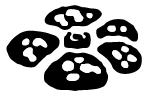 Set Symbol